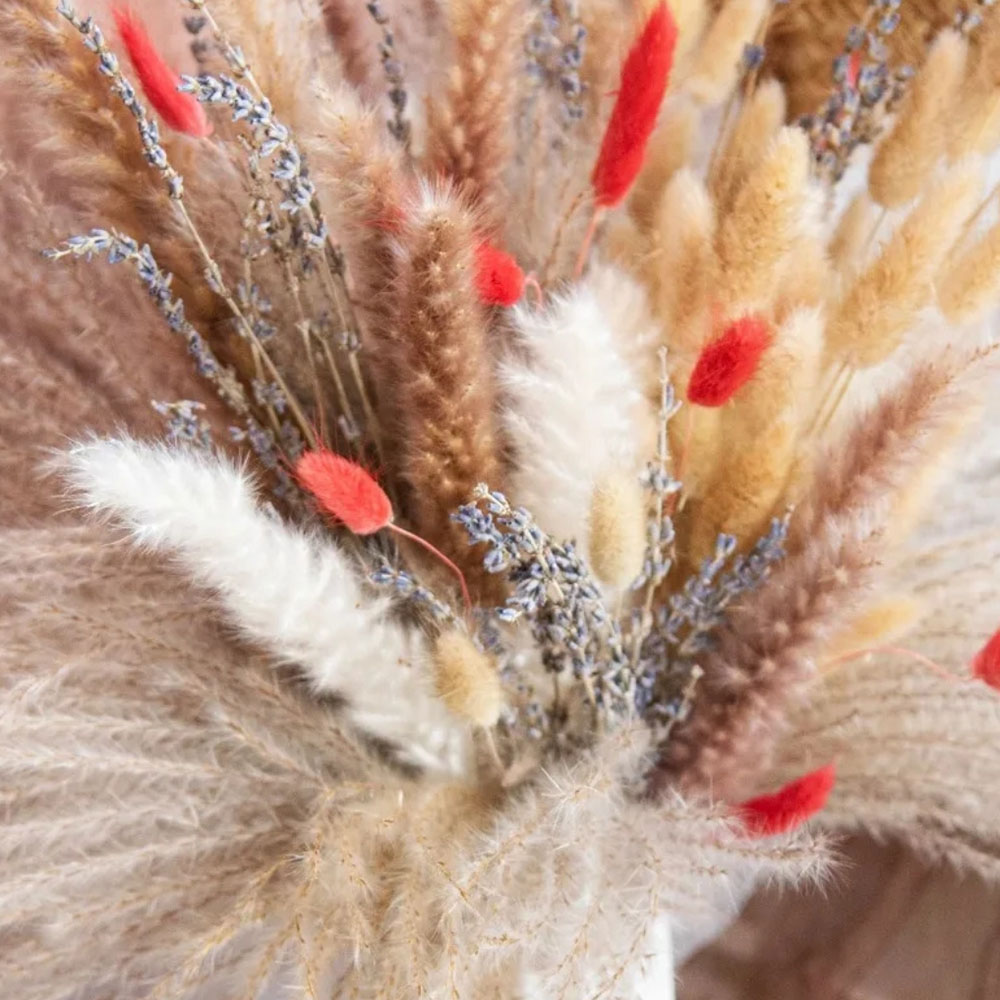 Bouquet de fleurs séchées arti - Pampas Grass Decor avis et prix