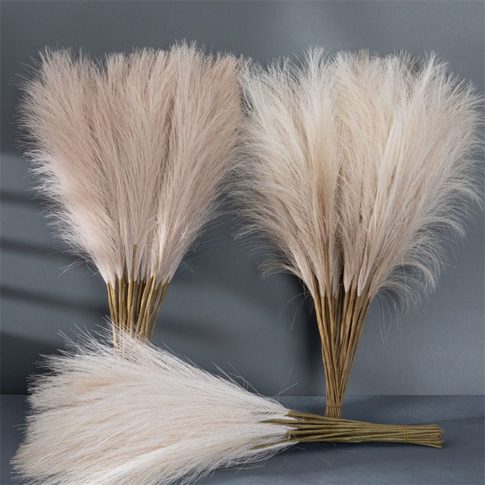 10 pièces/ensemble, décoration - Pampas Grass Decor avis et prix
