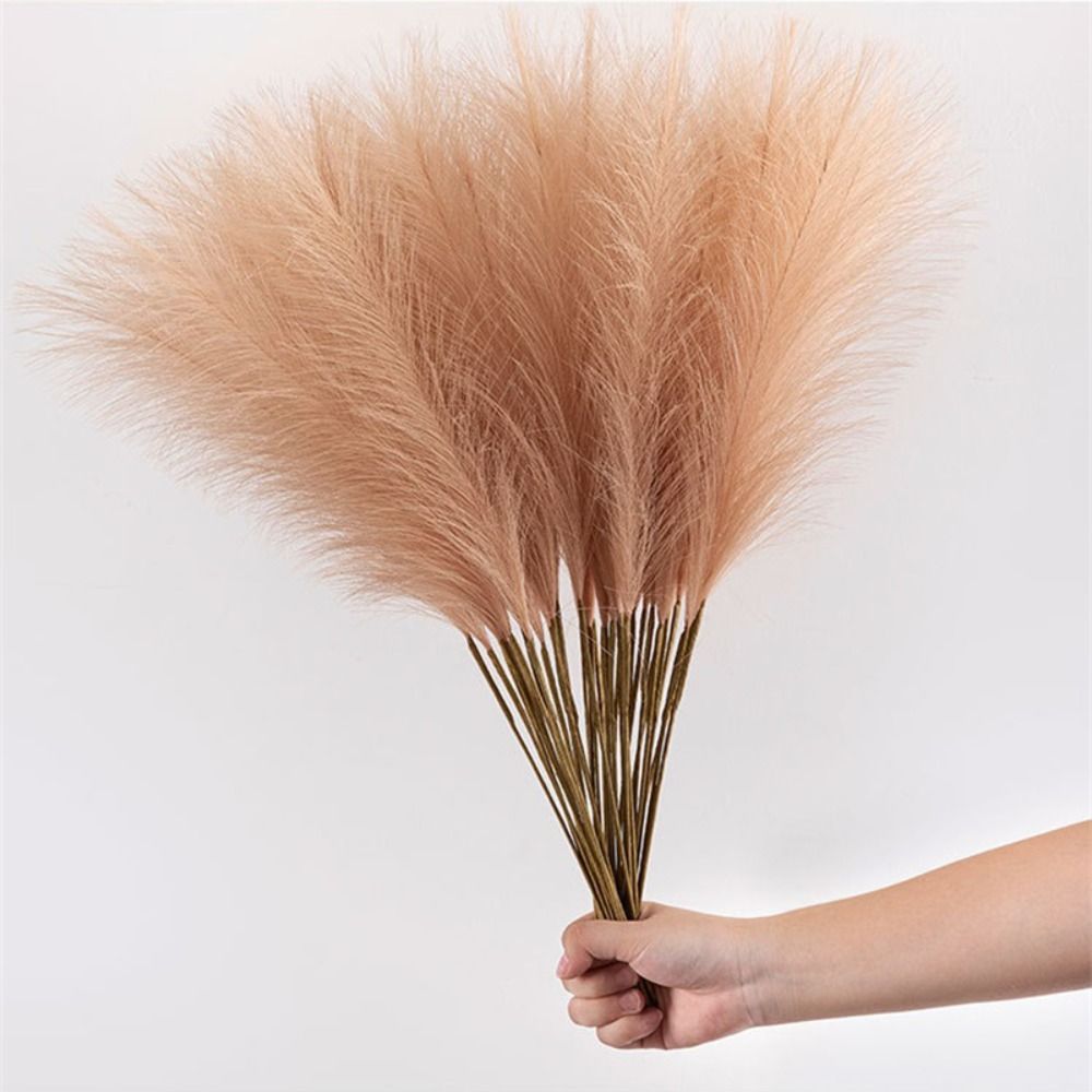 10 pièces/ensemble, décoration - Pampas Grass Decor avis et prix