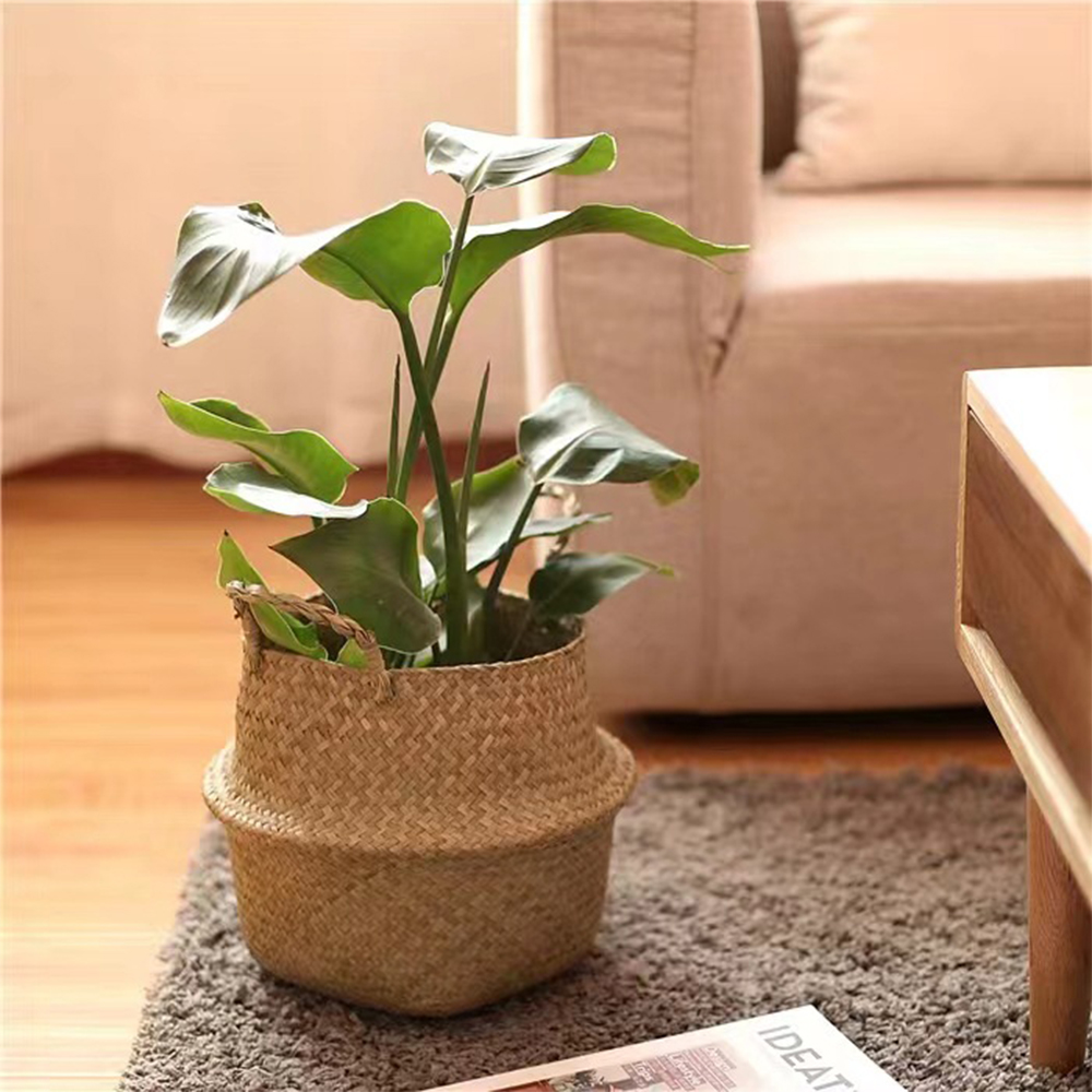 Panier à plantes avec poignées - Rattan Plant Basket avis et prix